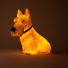 Load image into Gallery viewer, Egmont Lamp - Scotty w/ Plug