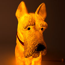 Load image into Gallery viewer, Egmont Lamp - Scotty w/ Plug