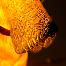 Load image into Gallery viewer, Egmont Lamp - Scotty w/ Plug