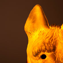 Load image into Gallery viewer, Egmont Lamp - Scotty w/ Plug