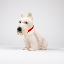 Load image into Gallery viewer, Egmont Lamp - Scotty w/ Plug