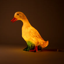 Load image into Gallery viewer, Egmont Lamp - Duck w/ Plug