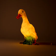 Load image into Gallery viewer, Egmont Lamp - Duck w/ Plug