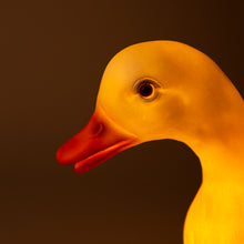 Load image into Gallery viewer, Egmont Lamp - Duck w/ Plug