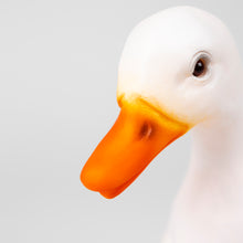 Load image into Gallery viewer, Egmont Lamp - Duck w/ Plug