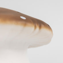 Load image into Gallery viewer, Egmont Lamp - Large Chocolate Mushroom w/ Plug