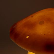 Load image into Gallery viewer, Egmont Lamp - Medium Chocolate Mushroom w/ Plug
