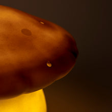Load image into Gallery viewer, Egmont Lamp - Medium Chocolate Mushroom w/ Plug