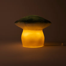 Load image into Gallery viewer, Egmont Lamp - Medium Natural Teal Mushroom w/ Plug