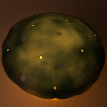 Load image into Gallery viewer, Egmont Lamp - Medium Natural Teal Mushroom w/ Plug