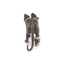Load image into Gallery viewer, Papo France Cerberus