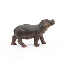 Load image into Gallery viewer, Papo France Hippopotamus Calf