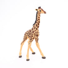 Load image into Gallery viewer, Papo France Giraffe Calf