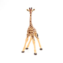 Load image into Gallery viewer, Papo France Giraffe Calf