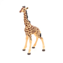 Load image into Gallery viewer, Papo France Giraffe Calf