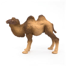 Load image into Gallery viewer, Papo France Bactrian Camel