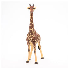 Load image into Gallery viewer, Papo France Male Giraffe