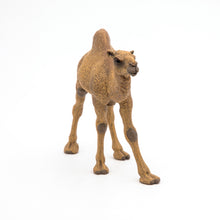Load image into Gallery viewer, Papo France Dromedary