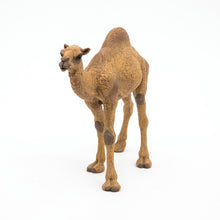 Load image into Gallery viewer, Papo France Dromedary