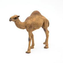 Load image into Gallery viewer, Papo France Dromedary