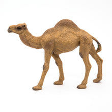Load image into Gallery viewer, Papo France Dromedary