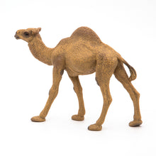 Load image into Gallery viewer, Papo France Dromedary