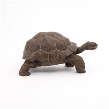 Load image into Gallery viewer, Papo France Galapagos Tortoise