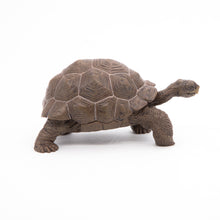 Load image into Gallery viewer, Papo France Galapagos Tortoise