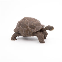 Load image into Gallery viewer, Papo France Galapagos Tortoise