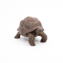 Load image into Gallery viewer, Papo France Galapagos Tortoise