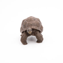 Load image into Gallery viewer, Papo France Galapagos Tortoise