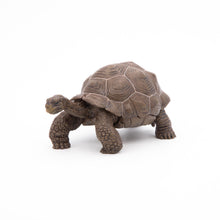 Load image into Gallery viewer, Papo France Galapagos Tortoise