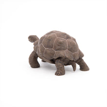 Load image into Gallery viewer, Papo France Galapagos Tortoise