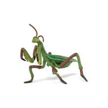 Load image into Gallery viewer, Papo France Praying Mantis