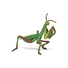 Load image into Gallery viewer, Papo France Praying Mantis