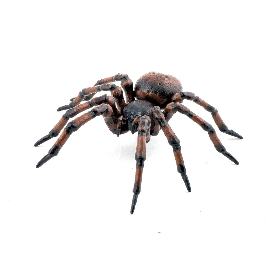 Papo France Common Spider