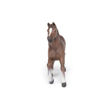 Load image into Gallery viewer, Papo France Anglo-Arab Mare