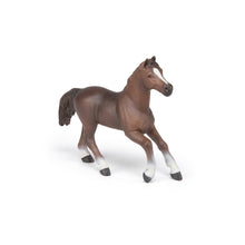 Load image into Gallery viewer, Papo France Anglo-Arab Mare