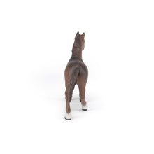 Load image into Gallery viewer, Papo France Anglo-Arab Mare