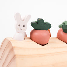 Load image into Gallery viewer, Egmont Toys Rabbit and Vegetables Log