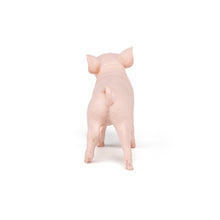 Load image into Gallery viewer, Papo France Female Piglet