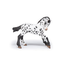 Load image into Gallery viewer, Papo France Black Appaloosa Foal