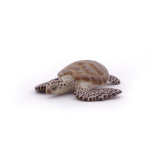 Load image into Gallery viewer, Papo France Loggerhead Turtle
