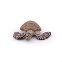 Load image into Gallery viewer, Papo France Loggerhead Turtle