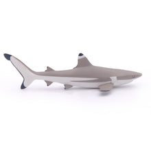 Load image into Gallery viewer, Papo France Blacktip Reef Shark