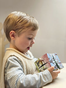 Egmont Toys Seasons Infinity Cube
