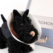 Load image into Gallery viewer, Egmont Toys Veterinary Case - Walter the Dog