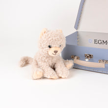 Load image into Gallery viewer, Egmont Toys Veterinary Case - Romy the Cat