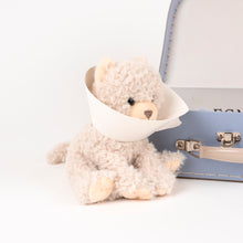 Load image into Gallery viewer, Egmont Toys Veterinary Case - Romy the Cat