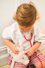 Load image into Gallery viewer, Egmont Toys Veterinary Case - Romy the Cat
